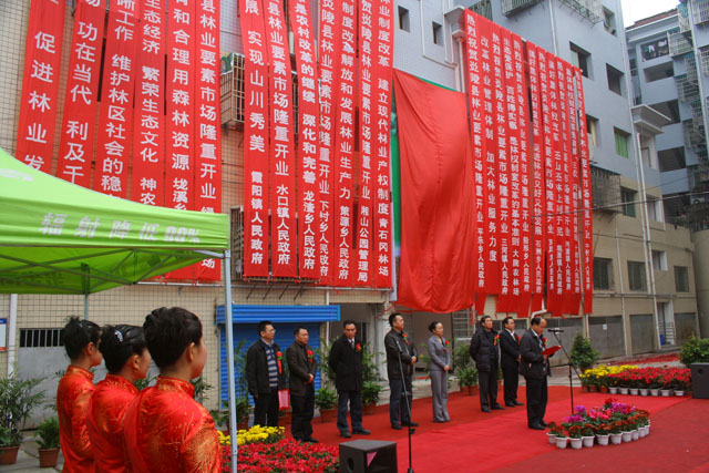 炎陵县林业要素市场揭牌开业