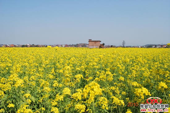 “双休”视听：“驴友”踏青石羊塘