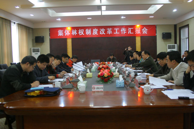 国务院办公厅督察组来炎督查林改工作