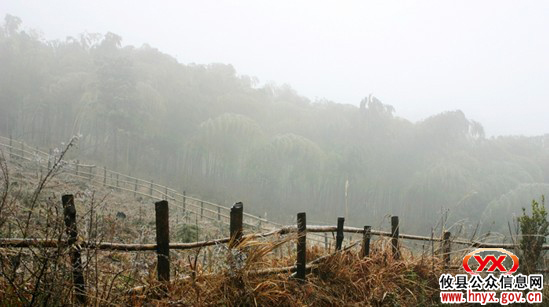 今日，攸县局部地区遇上“立春”后第一场冰冻