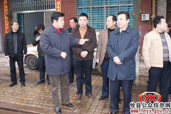 大年三十：邝邹飞、胡湘之到有关乡镇视察“三创四化”工作