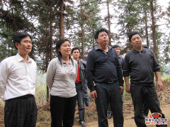 省市县三级督查我县乡镇森林防火工作