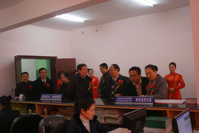 炎陵县林业要素市场揭牌开业