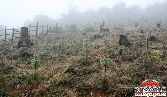 今日，攸县局部地区遇上“立春”后第一场冰冻
