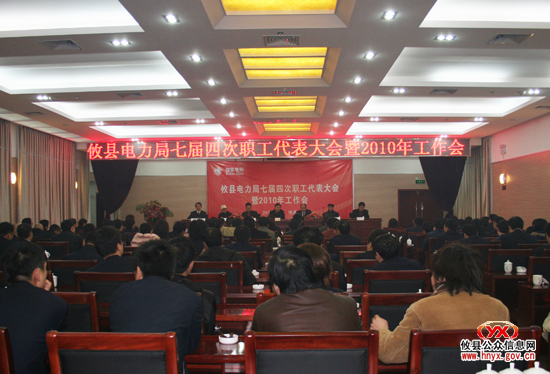 攸县电力局召开职代会部署2010年工作