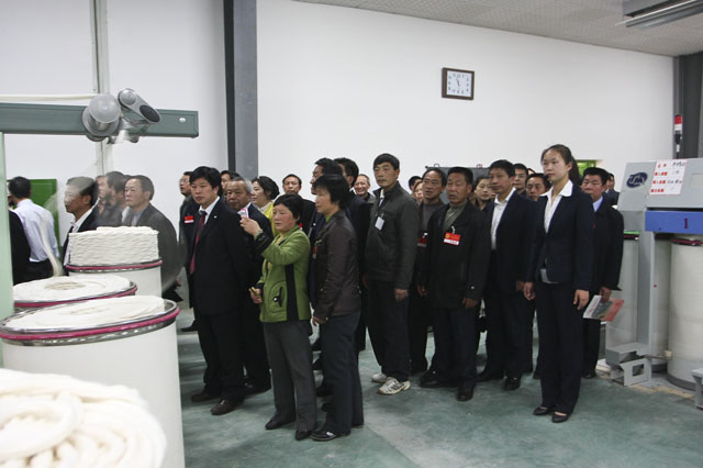 庚寅年炎陵县人大代表、政协委员祭祀炎帝陵典礼