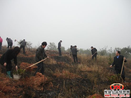 攸县林业局开展义务植树造林活动（图）