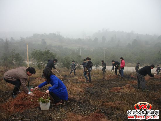 攸县林业局开展义务植树造林活动（图）