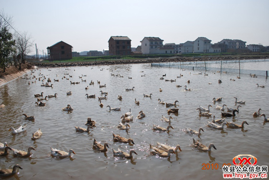 “双休”视听：“驴友”踏青石羊塘