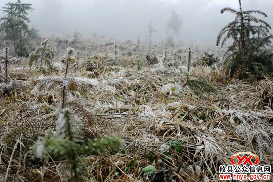 今日，攸县局部地区遇上“立春”后第一场冰冻