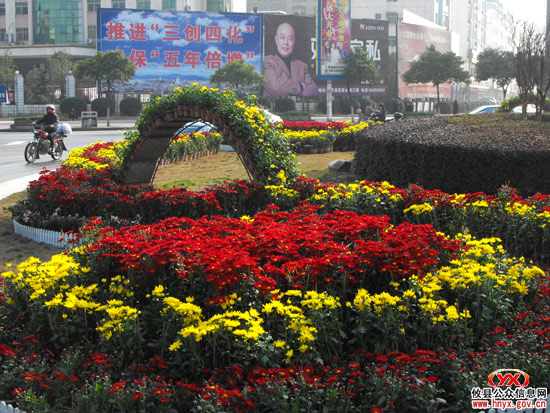 喜迎虎年：数万盆鲜花扮靓梅城