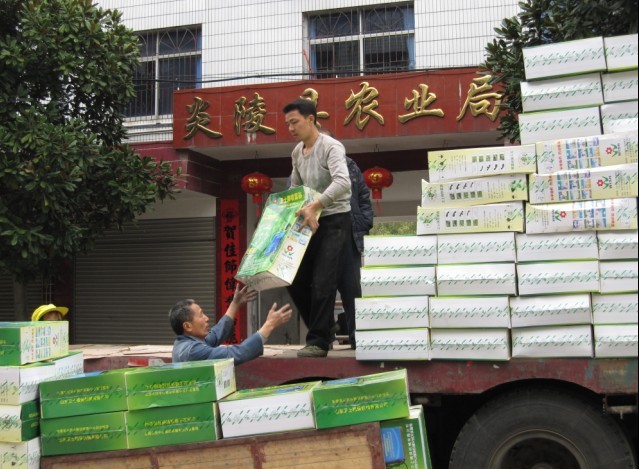 炎陵：2600台旧式植保器械将“辞旧迎新”