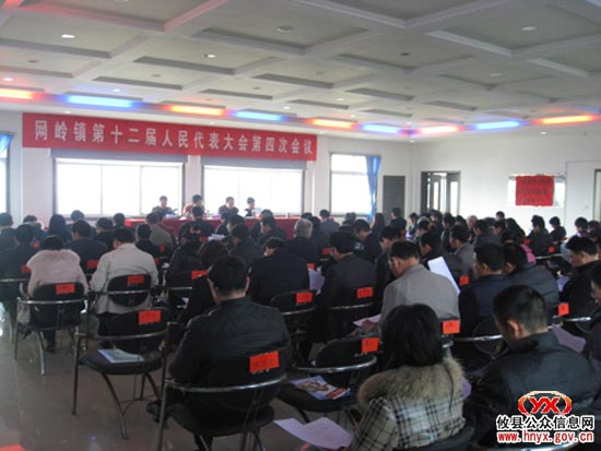 网岭镇召开十二届人大四次会议 陈文平当选为镇长