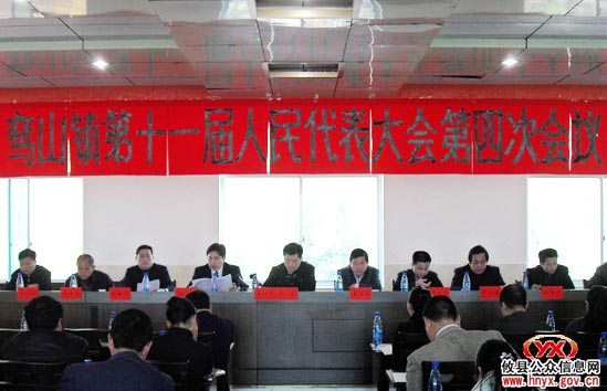 鸾山镇召开十一届人大四次会议 刘亮当选为镇长