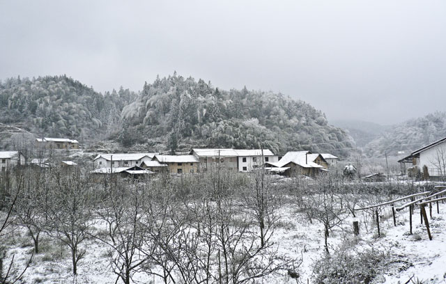 大院农场：普降春雪