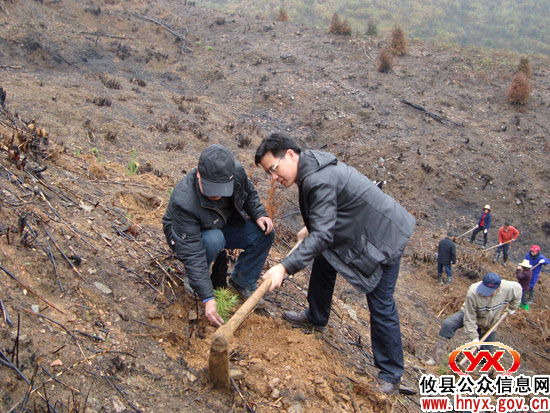 人勤春早：槚山乡造林已投入劳动工日2.3万个