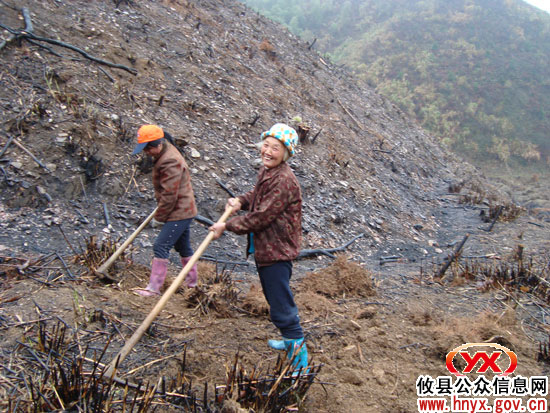 人勤春早：槚山乡造林已投入劳动工日2.3万个