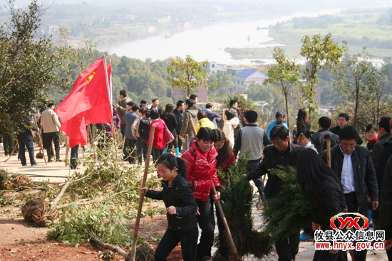 团县委组织青年干部到鸭塘铺乡植树造林