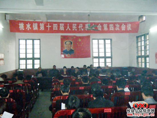 攸县桃水镇召开第十四届人大四次会议