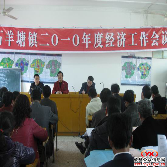 石羊塘镇进行2010年经济工作部署