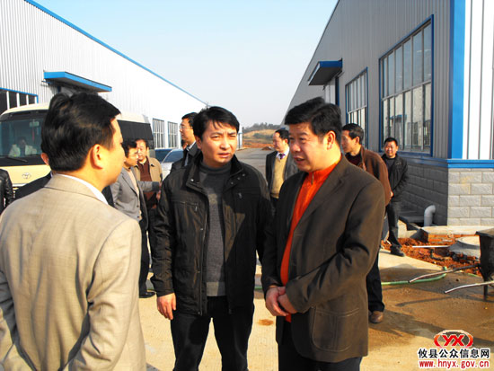 攸县县委书记邝邹飞、县长胡湘之等督查城区绿化工作
