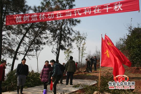 团县委组织青年干部到鸭塘铺乡植树造林