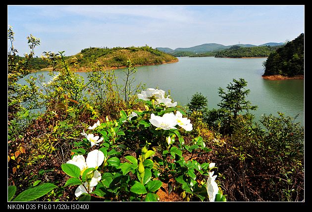 云龙打造长株潭城市群中央生态城