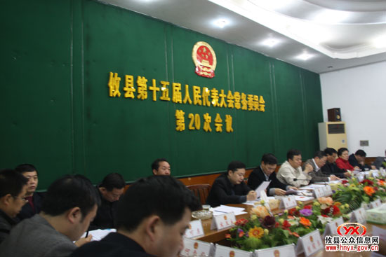 攸县第十五届人大常委会举行第二十次会议