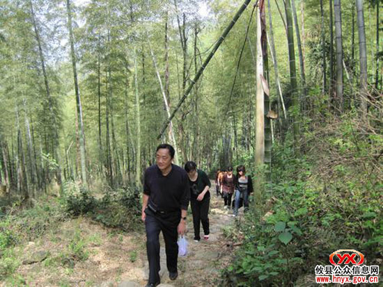 迎“五一”：攸县总工会机关工作人员同登紫云峰