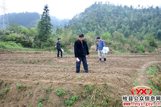 鸾山镇新漕村因地制宜大力发展特色农业