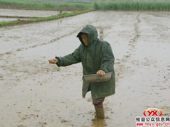 乡村四月：大同桥农村正在抢抓晴天忙播种