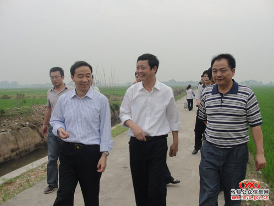 省农开办主任罗志宏来攸县考察高标准农田建设示范项目立项工作