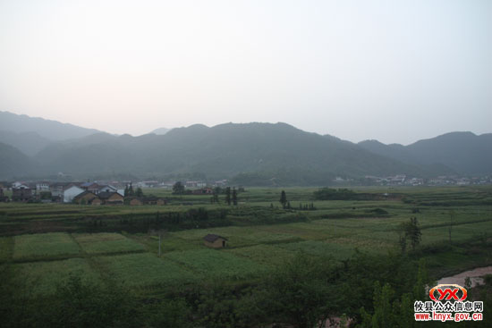 鸾山镇致力产业提升增强发展后劲