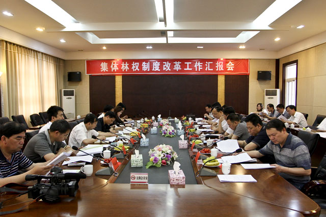 国家林业局林改典型县核查组在炎陵县核查调研林改工作