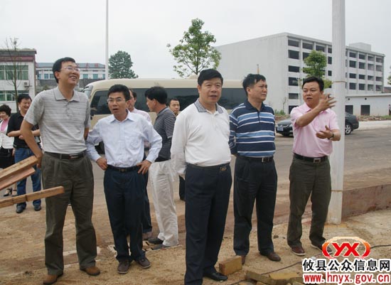 省卫生厅副厅长林安弟一行来攸视察城乡环境卫生工作