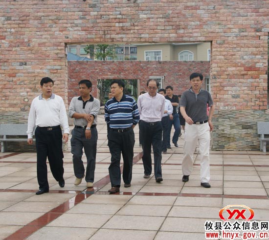 省卫生厅副厅长林安弟一行来攸视察城乡环境卫生工作