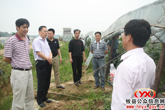 市政府副秘书长张格林率农业督查组来攸县督查调研