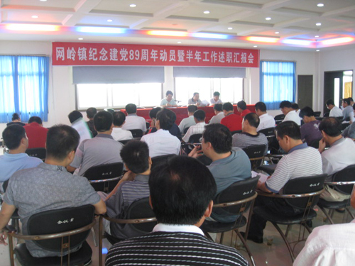 攸县网岭开展庆建党89周年活动暨半年工作述职