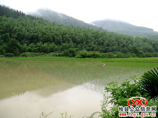 攸县鸾山镇漕联村水灾实况（图）