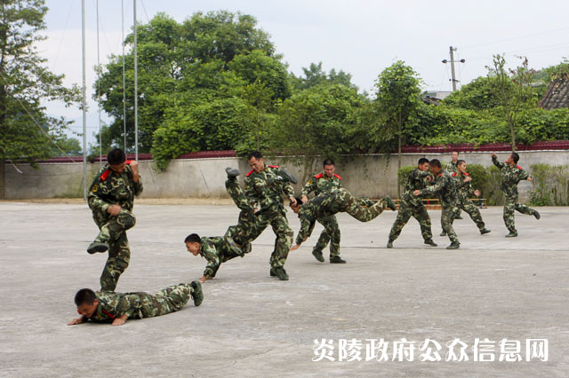 我县县级干部参加军事日活动