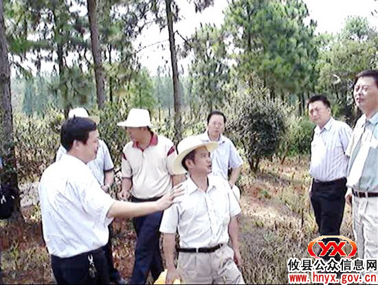 广东省梅州市委副书记陈小山一行来攸县考察油茶产业