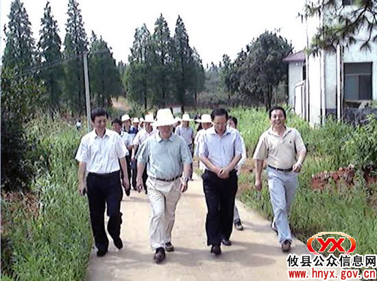 广东省梅州市委副书记陈小山一行来攸县考察油茶产业