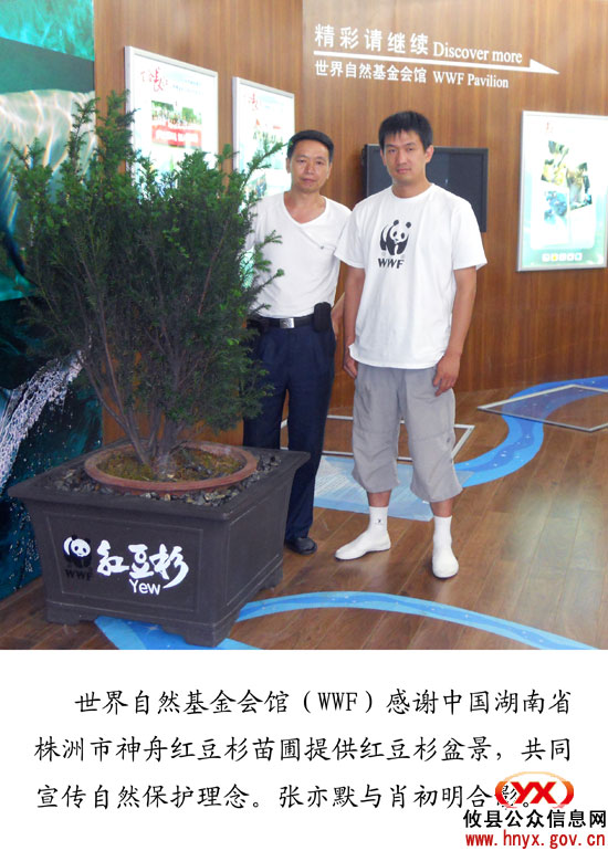 攸县红豆杉重登世界自然基金会馆