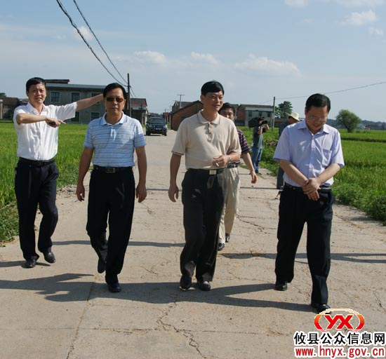 省农业厅巡视员吴新民一行考察攸县粮食生产情况