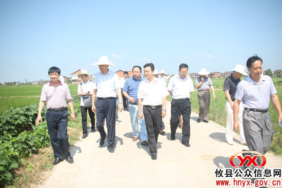 副省长徐明华一行来攸县调研粮食生产工作