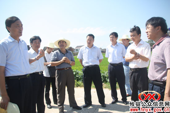 副省长徐明华一行来攸县调研粮食生产工作