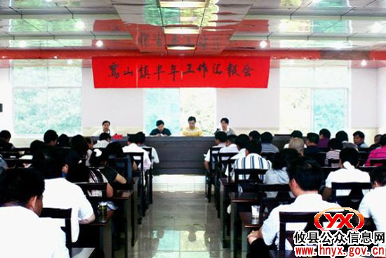 攸县鸾山镇组织各村进行上半年工作集中汇报