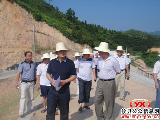 攸县丫江桥镇组织人大代表开展视察活动