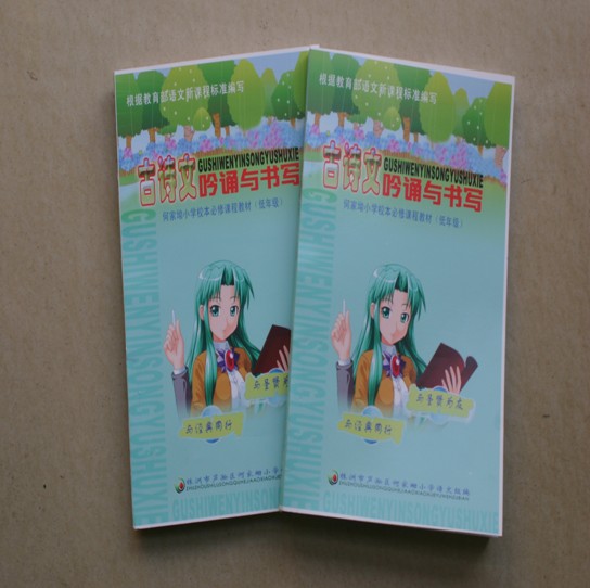 芦淞区"诗词进校园"工作成效显著