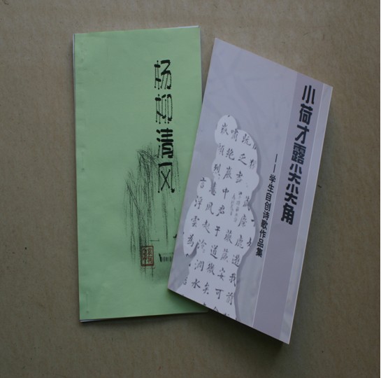 芦淞区"诗词进校园"工作成效显著